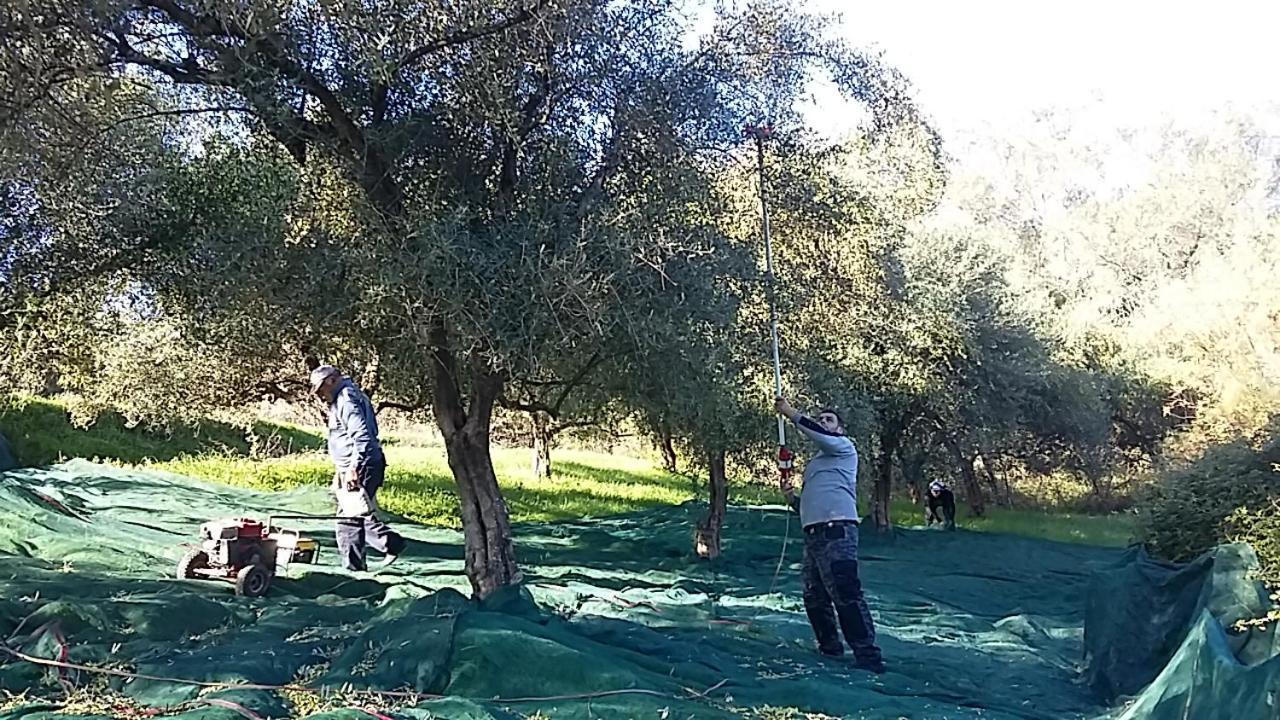 Vitaládes Eleas Gi Villa מראה חיצוני תמונה