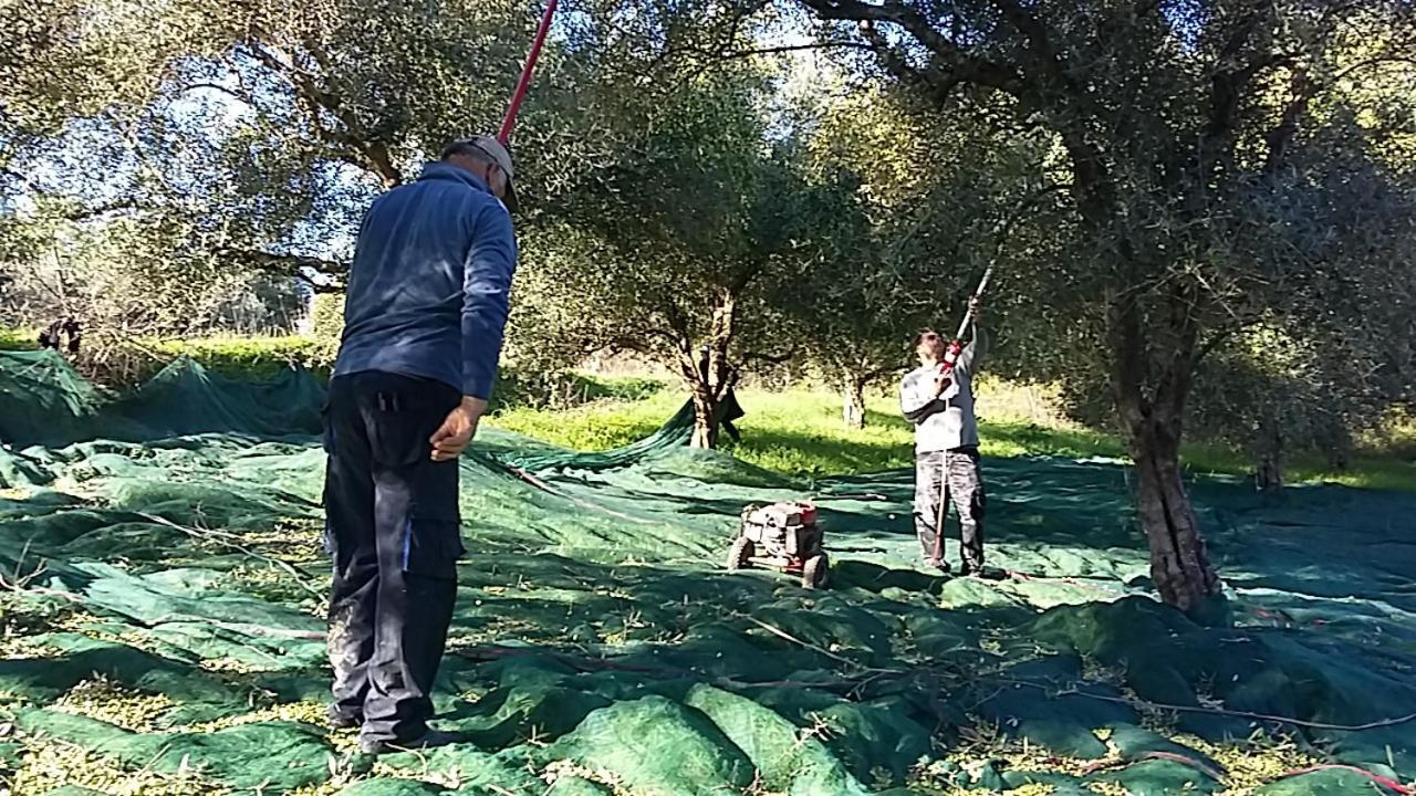Vitaládes Eleas Gi Villa מראה חיצוני תמונה